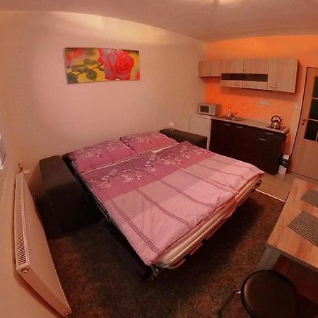 Apartmán Garsonka Hliník Třeboň Exteriér fotografie