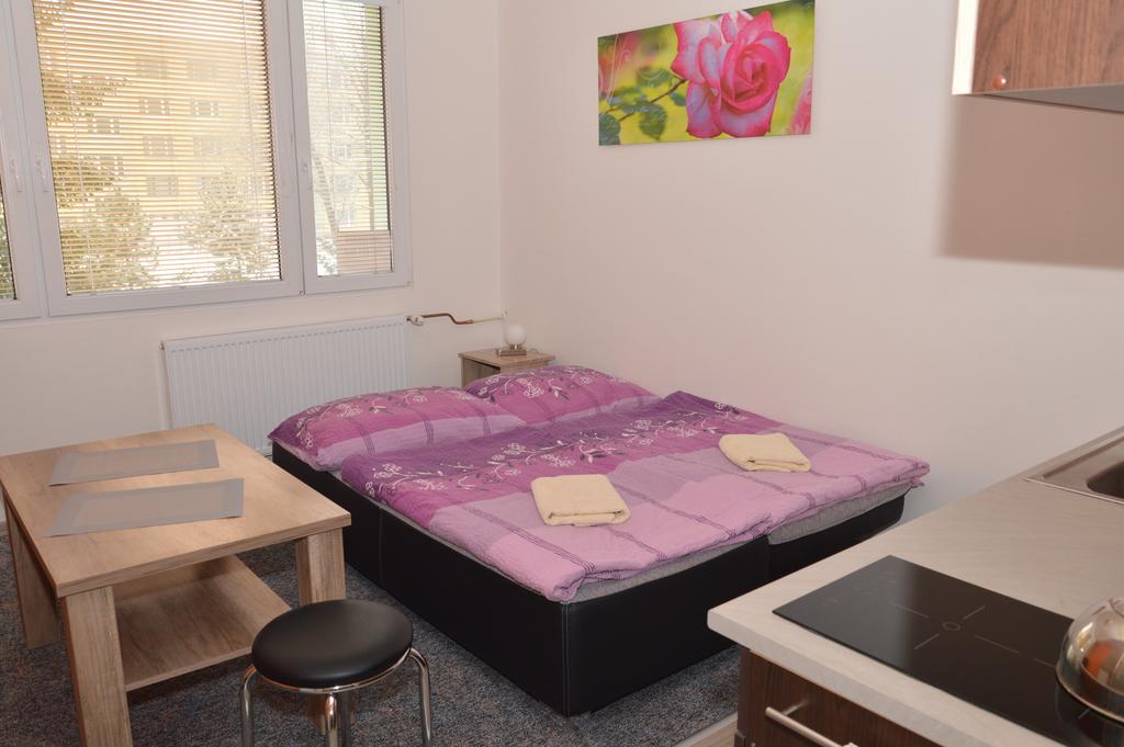 Apartmán Garsonka Hliník Třeboň Exteriér fotografie